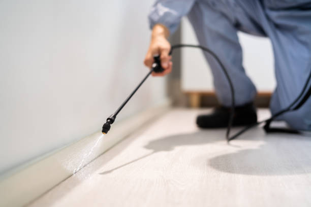 Licensed Termite Control service in Campbell, MO - Nex Pest Control