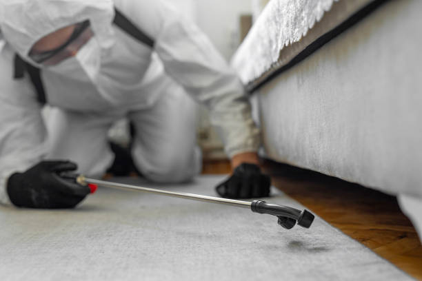 Professional Termite Control technician working in Campbell, MO