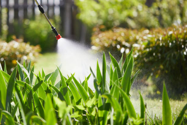 24/7 Emergency Termite Control experts in Campbell, MO