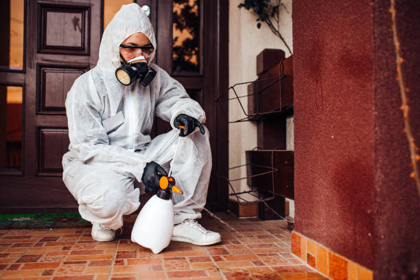 Reliable Termite Control contractor in Campbell, MO by Nex Pest Control