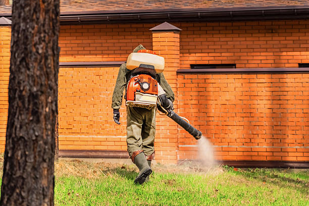 Top rated local Termite Control specialists in Campbell, MO